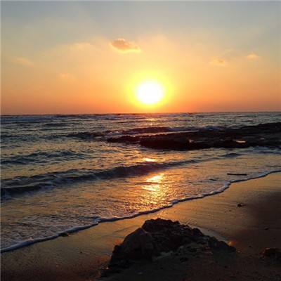 hg8868体育皇冠地址截图