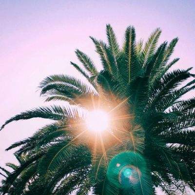 722cc彩票手机app下载