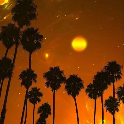 米乐app下载官网