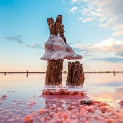 博鱼综合体育APP