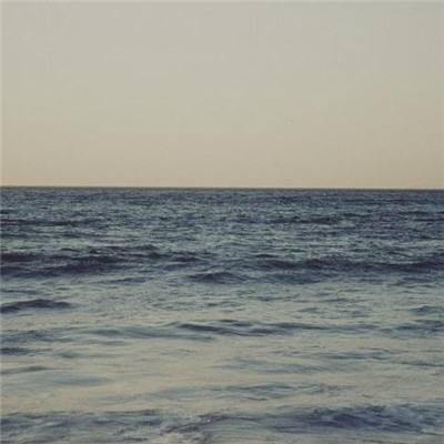 任你博app下载截图