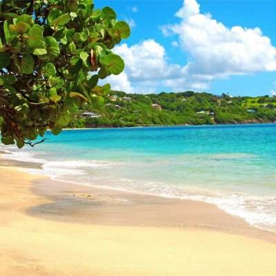 188金宝搏下载手机版截图