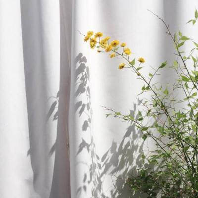 开云·体育平台