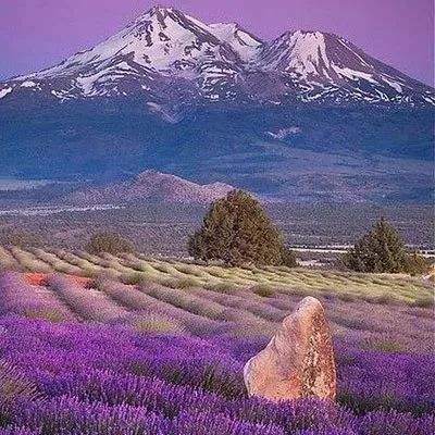 足球彩票正规app下载