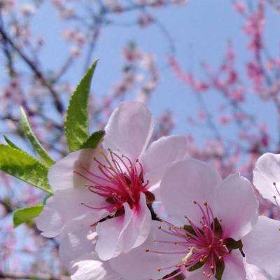 乐彩彩票welcomeapp下载截图